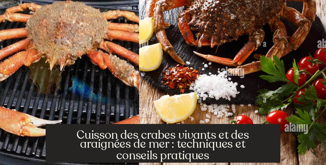 Cuisson des crabes vivants et des araignées de mer : techniques et