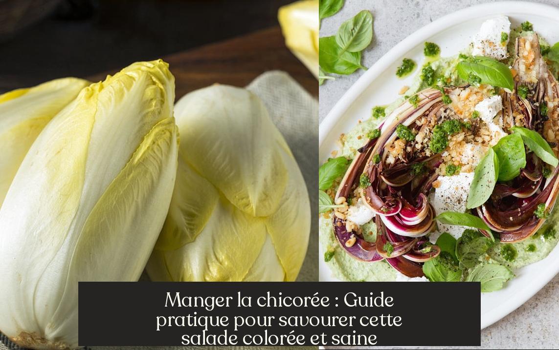 Manger la chicorée Guide pratique pour savourer cette salade colorée — free download