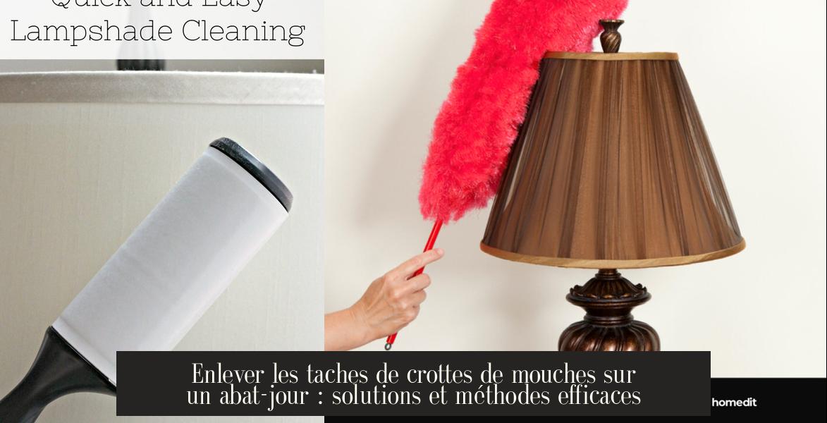 Comment Enlever Les Crottes De Mouches Sur Du Tissu