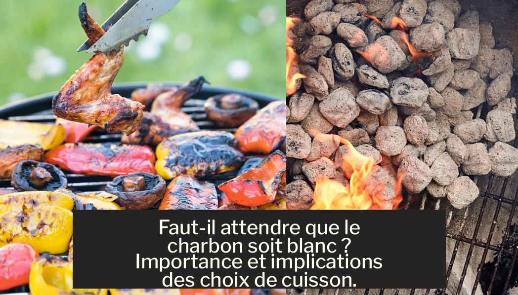 Fautil attendre que le charbon soit blanc ? Importance et implications — free download