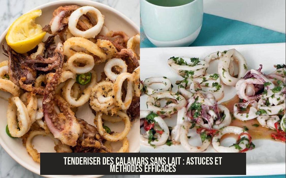 Tenderiser des calamars sans lait : astuces et méthodes efficaces