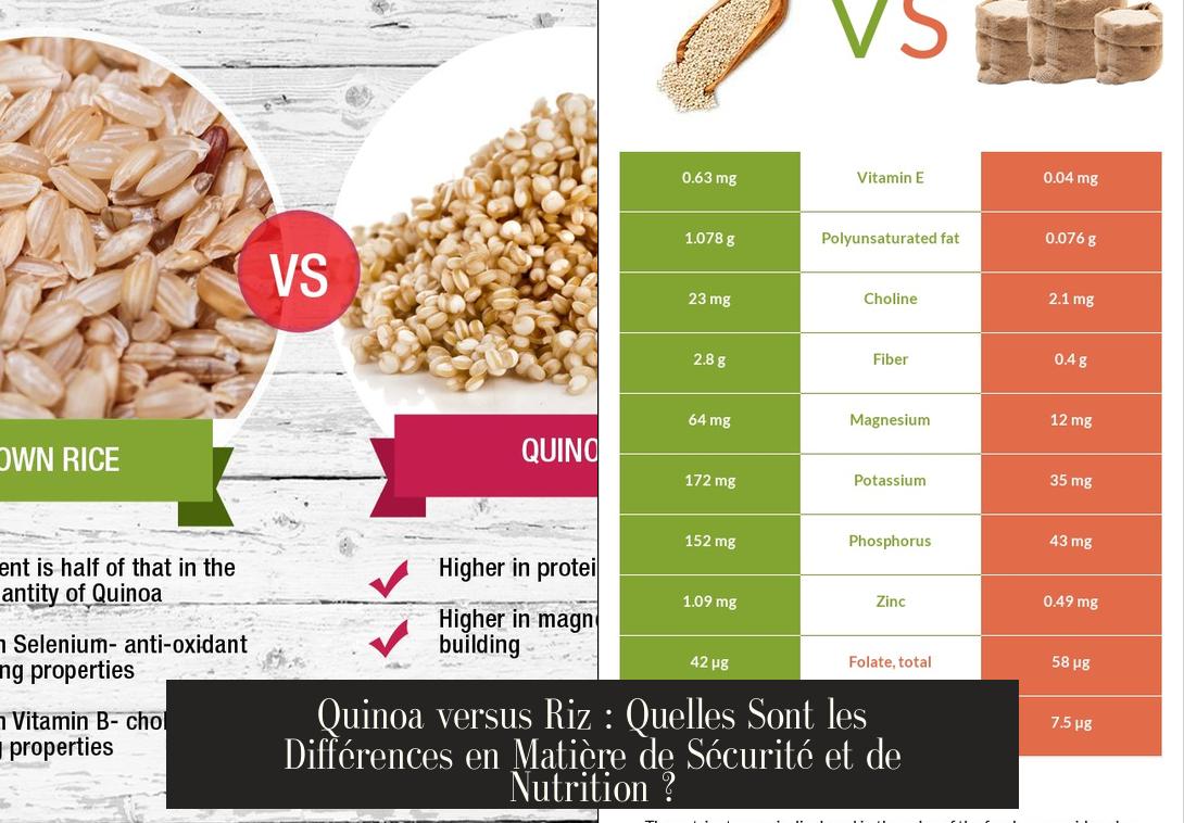 Quinoa versus Riz : Quelles Sont les Différences en Matière de Sécurité ...