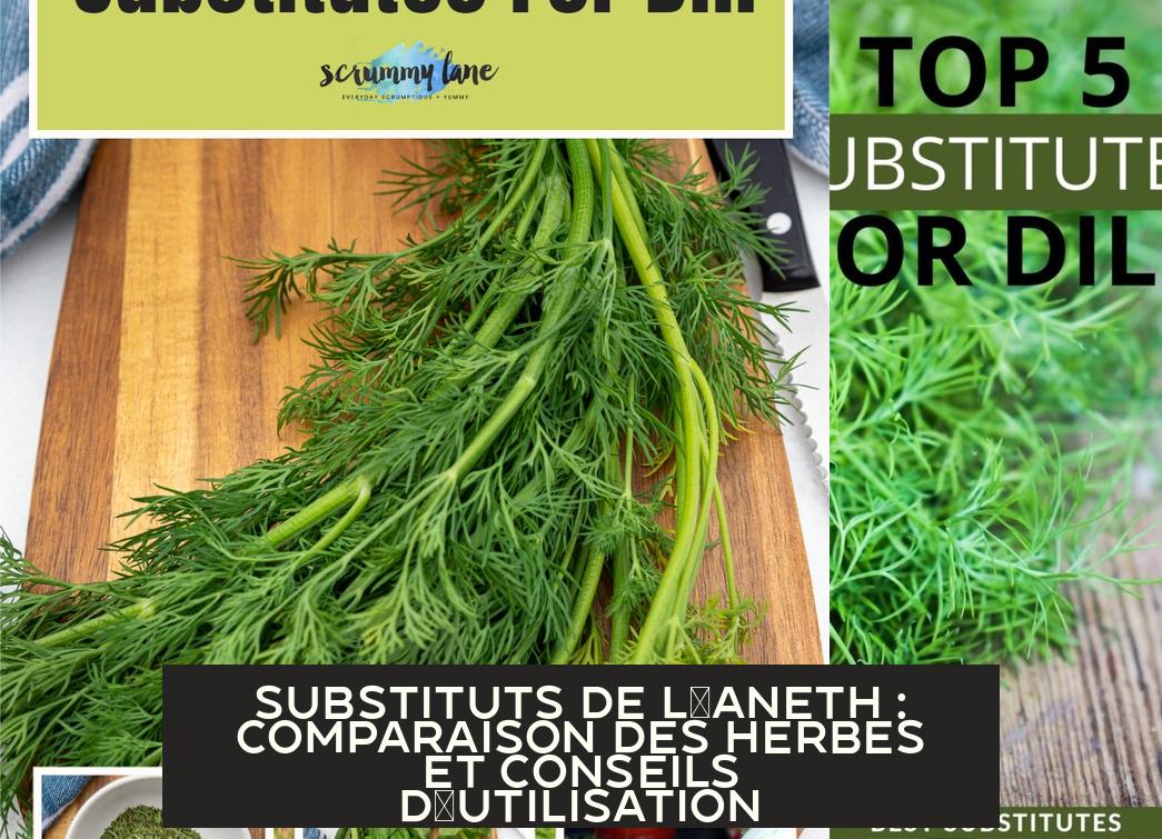 Substituts de l'aneth : Comparaison des herbes et conseils d ...