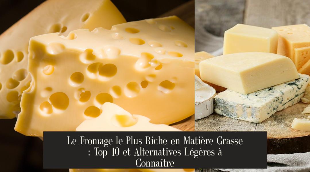 Le Fromage le Plus Riche en Matière Grasse Top 10 et Alternatives — free download
