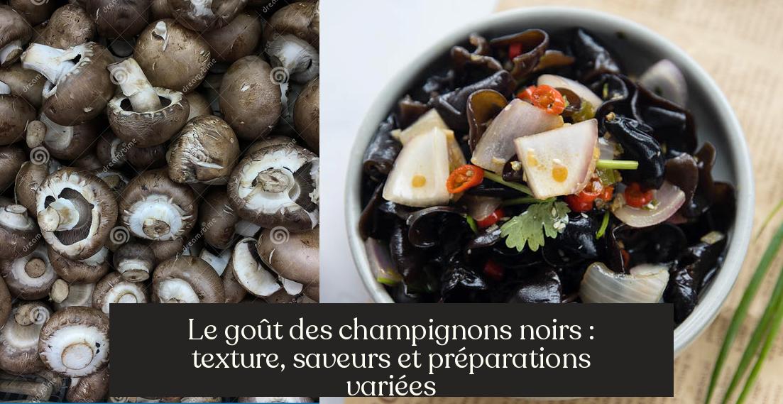 Le goût des champignons noirs texture, saveurs et préparations — free download