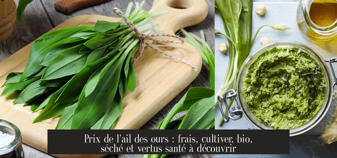 Ail Des Ours Prix