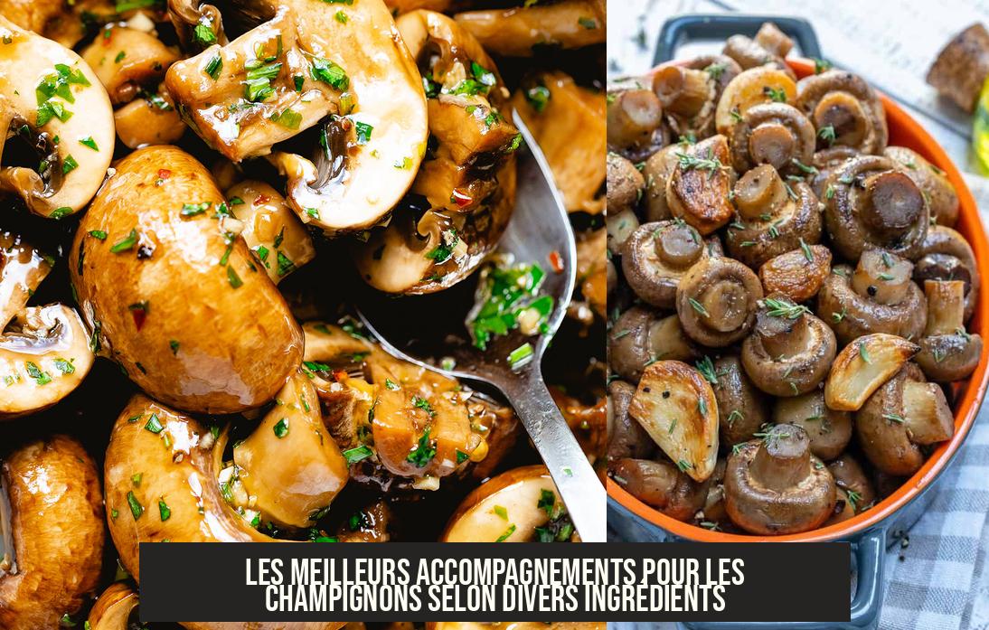 Les Meilleurs Pour Les Champignons Selon Divers — free download